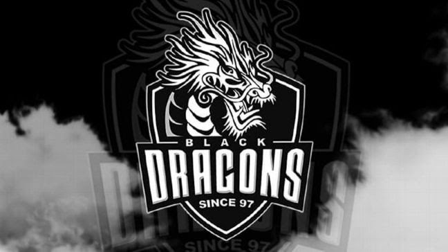 TP-Link firma parceria com equipe de e-sports Black Dragons