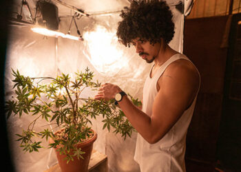 Segunda temporada de Pico da Neblina estreia em 3 de julho na HBO Max