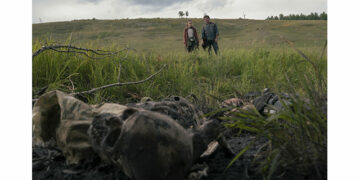 The Last of Us é renovada para segunda temporada