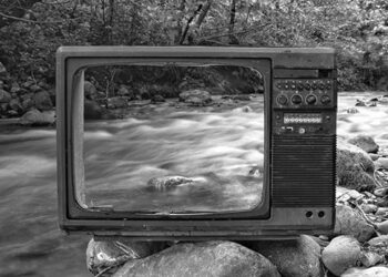 LG reforça sustentabilidade em parceria com ABREE