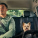 Uber lança nova categoria para o transporte de pets
