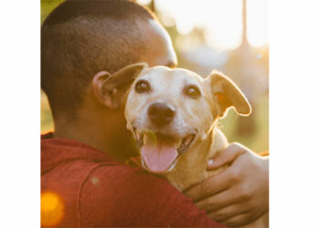 PEDIGREE conecta ONGs protetoras de animais a quem deseja adotar um pet