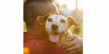 PEDIGREE conecta ONGs protetoras de animais a quem deseja adotar um pet