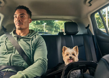 Paulistanos e cariocas já podem usar o Uber Pet