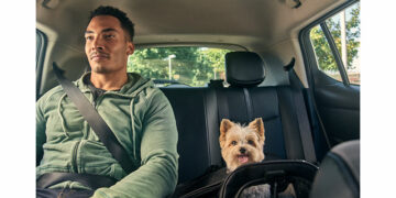 Paulistanos e cariocas já podem usar o Uber Pet